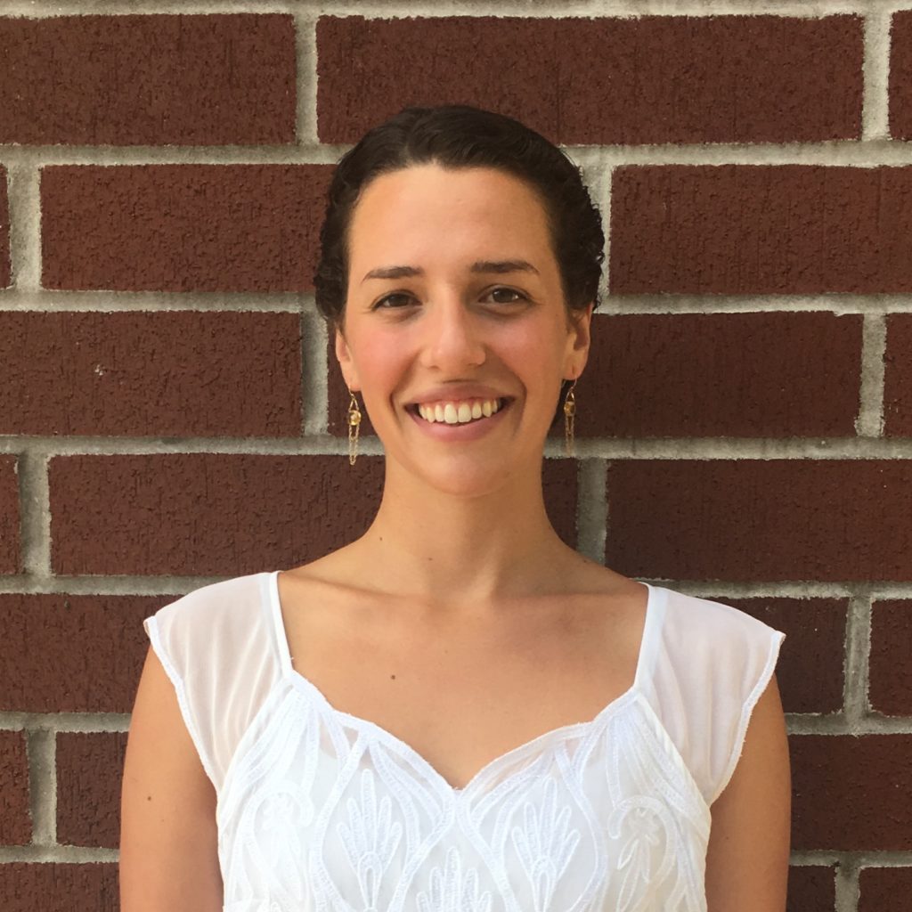 Hannah Baron Democratic Erosion